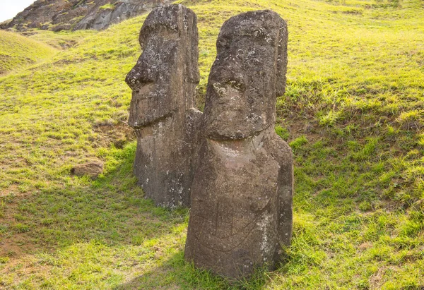 Moais Yttre Sluttningarna Rano Raraku Vulkan Rano Raraku Stenbrottet Där — Stockfoto