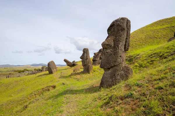 Rano Raraku Yanardağının Dış Yamaçlarındaki Moais Ler Rano Raraku Moailerin — Stok fotoğraf