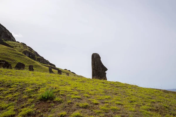 Moais Στις Εξωτερικές Πλαγιές Του Ηφαιστείου Rano Raraku Rano Raraku — Φωτογραφία Αρχείου