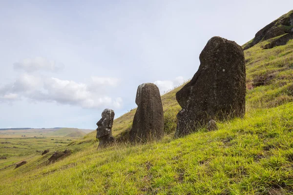 Moais Yttre Sluttningarna Rano Raraku Vulkan Rano Raraku Stenbrottet Där — Stockfoto