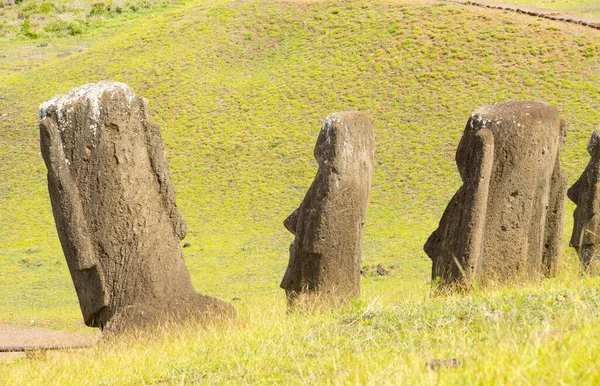 Moais Las Laderas Exteriores Del Volcán Rano Raraku Rano Raraku — Foto de Stock