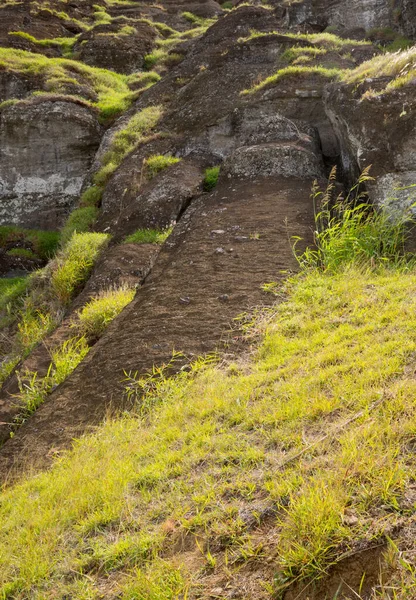 Moai Nas Encostas Exteriores Vulcão Rano Raraku Rano Raraku Local — Fotografia de Stock