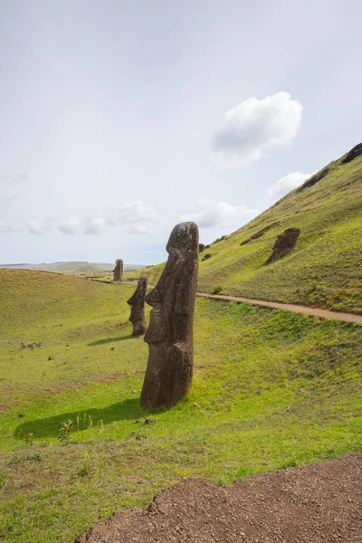 Moais Στις Εξωτερικές Πλαγιές Του Ηφαιστείου Rano Raraku Rano Raraku — Φωτογραφία Αρχείου