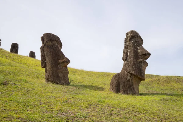 Moais Στις Εξωτερικές Πλαγιές Του Ηφαιστείου Rano Raraku Rano Raraku — Φωτογραφία Αρχείου