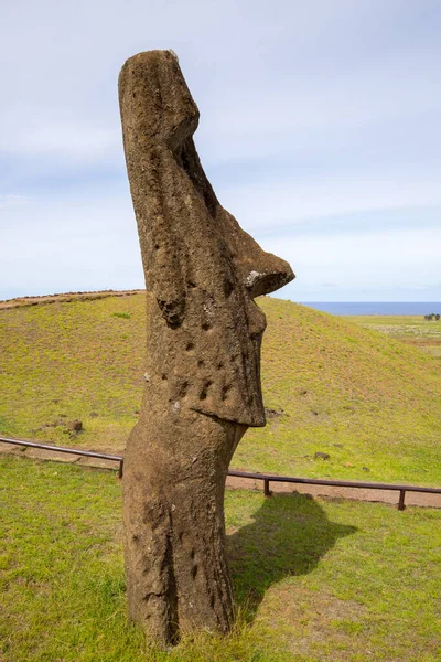 Ein Moai Den Äußeren Hängen Des Rano Raraku Vulkans Rano — Stockfoto