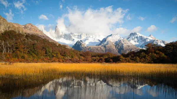 阿根廷洛斯冰川国家公园 卡普里泻湖周围植物的秋天色彩 菲茨罗伊山上布满了云彩 — 图库照片