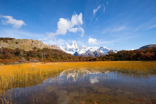 位于阿根廷洛斯冰川国家公园的卡普里泻湖周围的菲茨罗伊火山 五彩缤纷的秋色植被 — 图库照片
