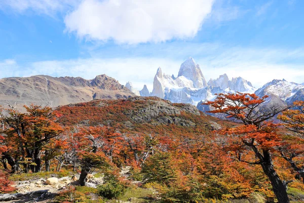 Autumn Colors Vegetation Laguna Capri Mount Fitzroy Background National Park Stock Picture