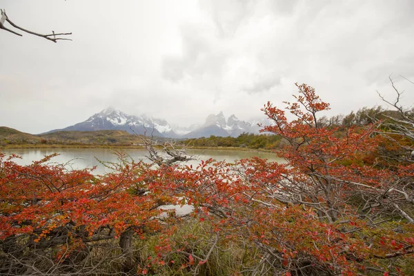 Cores Outono Neblina Nas Montanhas Torres Del Paine Com Vista — Fotografia de Stock