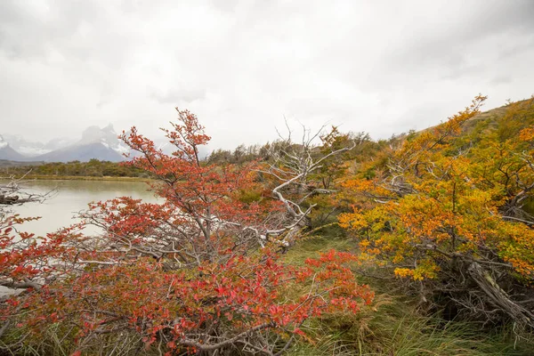 Herfst Kleuren Mist Torres Del Paine Bergen Die Uitkijken Wateren — Stockfoto