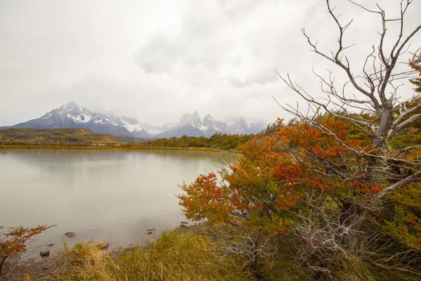 Őszi Színek Köd Torres Del Paine Hegységben Kilátással Vizére Torres — Stock Fotó