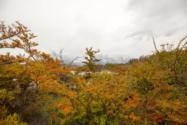 Jesienne Kolory Mgła Górach Torres Del Paine Widokiem Wody Jeziora — Zdjęcie stockowe