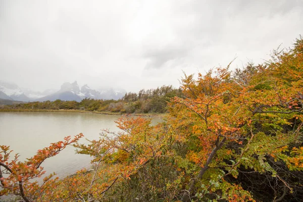 智利Torres Del Paine国家公园俯瞰湖水的Torres Del Paine山脉的秋天色彩和雾气 — 图库照片