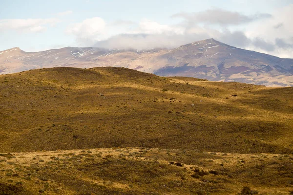 Paisagem Das Montanhas Torres Del Paine Parque Nacional Torres Del — Fotografia de Stock