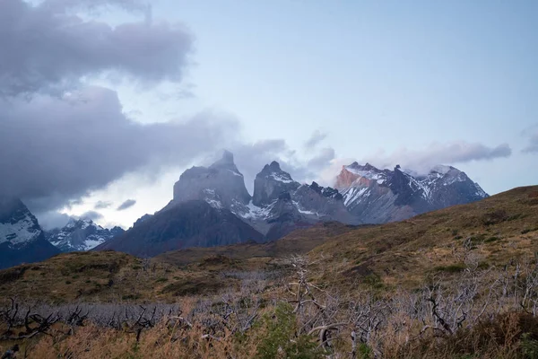 Suche Spalone Drzewa Krajobrazie Gór Torres Del Paine Jesienią Park — Zdjęcie stockowe