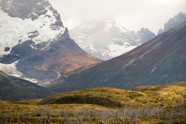 智利Torres Del Paine国家公园秋天的Torres Del Paine山脉 — 图库照片