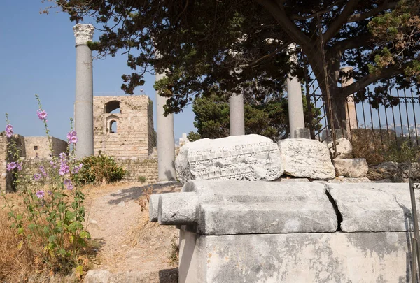 Sarcophage Des Frises Des Colonnes Romaines Vue Sur Les Ruines — Photo