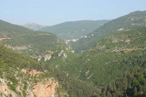Γρια Κοιλάδα Κοντά Στην Κοιλάδα Της Καντίσα Κοιλάδα Qadisha Λίβανος — Φωτογραφία Αρχείου