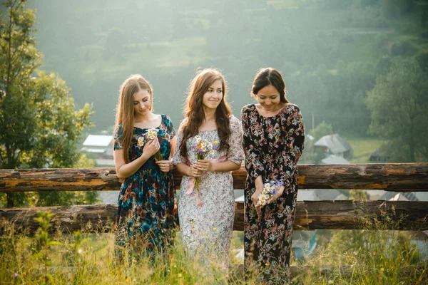 Bir güzel dağ çayır doğada üzerinde kalan kızlar Kız Giydir — Stok fotoğraf