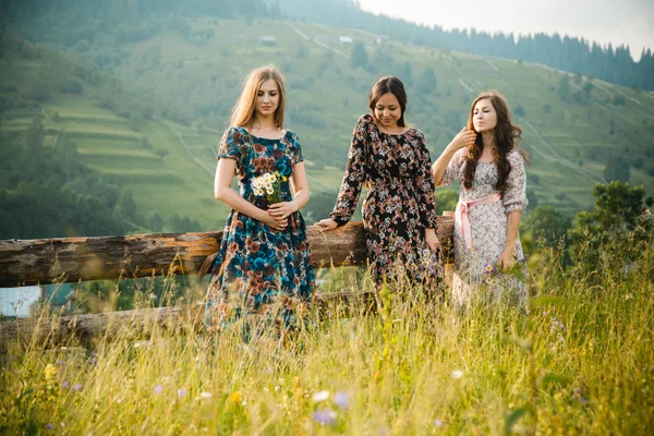 Bir güzel dağ çayır doğada üzerinde kalan kızlar Kız Giydir — Stok fotoğraf