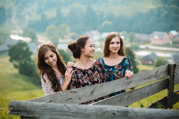 stock image Girls girlfriend dresses rest on the nature in a beautiful mountain meadow