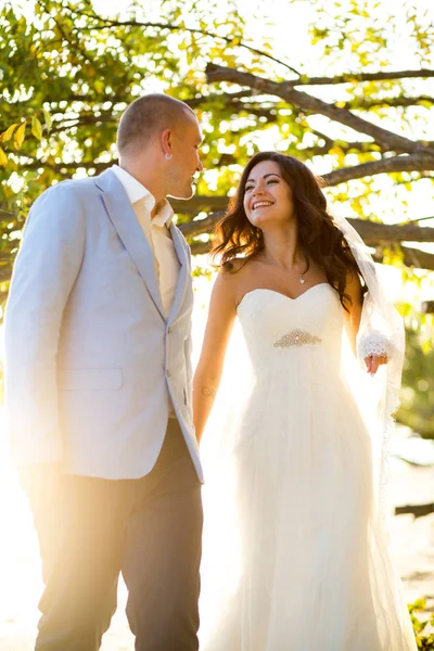 Retrato de casal de amantes recém-casados na natureza. Brunette noiva em vestido de noiva com um belo penteado, véu e maquiagem e seu marido em um terno — Fotografia de Stock