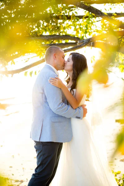 Retrato de casal de amantes recém-casados na natureza. Brunette noiva em vestido de noiva com um belo penteado, véu e maquiagem e seu marido em um terno — Fotografia de Stock