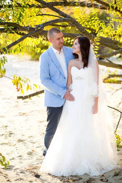 Retrato de pareja de amantes recién casados sobre la naturaleza. Morena novia en vestido de novia con un hermoso peinado, velo y maquillaje y su marido en un traje —  Fotos de Stock