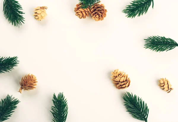 Świąteczny świąteczny skład jodłowy gałąź i szyszka. minimalistyczna koncepcja wakacji — Zdjęcie stockowe