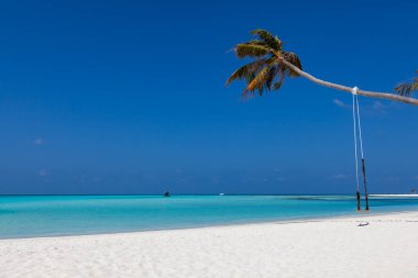 Maldivler 'deki bir cennet adasında, kumlu bir plajda, palmiye ağacında sallanmak..