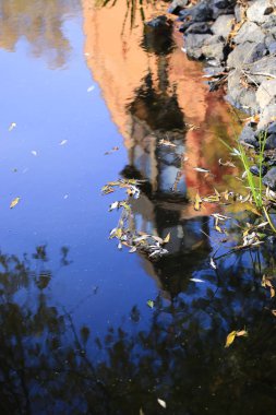 Radomysl Şatosu Ekim, Ukrayna