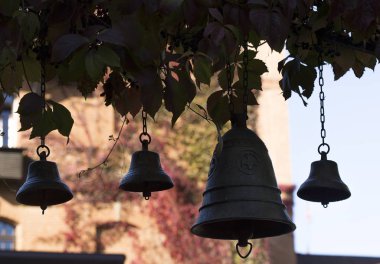 Radomyler Şatosu 'nun antik heykelleri.