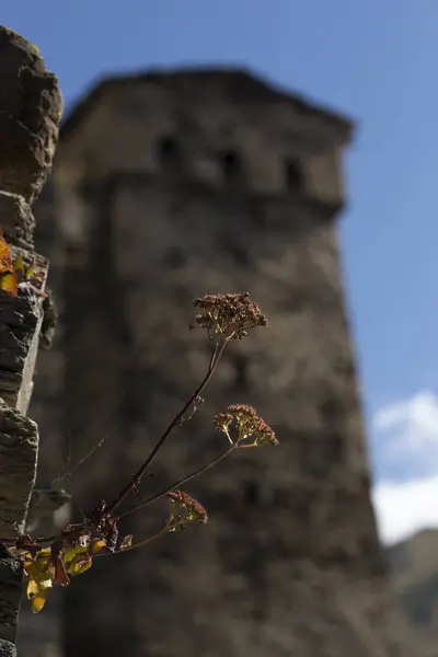 Svan Kuleleri, unesco mirası, Mestia ve Ushguli, Gürcistan