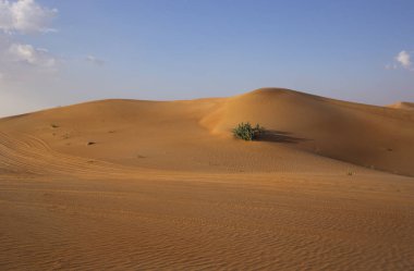 Akşamları Dubai çölünde kum dokusu
