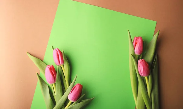 Plochá Poloha Tulipánů Pro Vytváření Karet Pro Různé Svátky — Stock fotografie