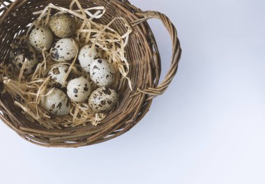 Sepette bıldırcın yumurtası, beyaz bir arka planda çekilmiş.