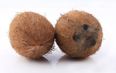 Beyaz arkaplanda hindistan cevizi görüntüsü