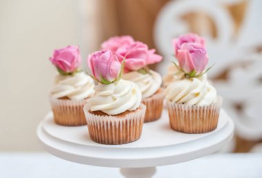 Bir kaç çikolata cupcakes