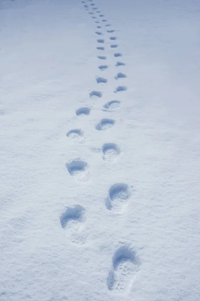 Fußstapfen im Winterschnee — Stockfoto