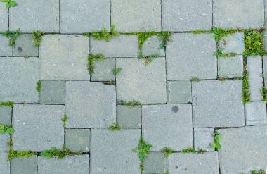 kaldırım döşeme çim ile gri