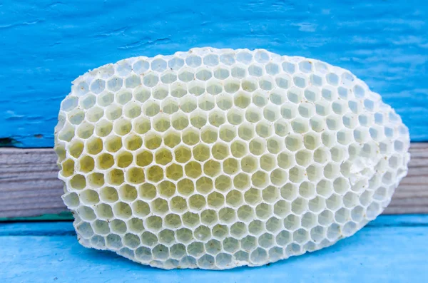 Fragment plastra miodu pszczoły — Zdjęcie stockowe