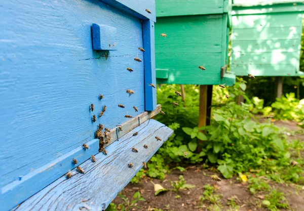 Bina flyger till hålet en registreringsdatafil — Stockfoto