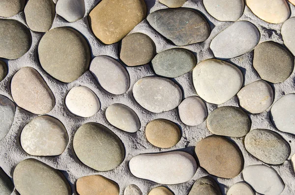 Round stones in concrete — Stock Photo, Image