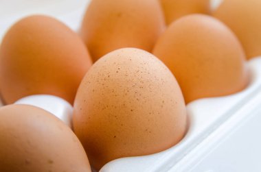 Tavuk yumurta hücresi 