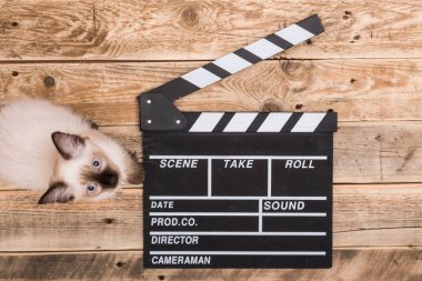 Film Klaket ve kedi