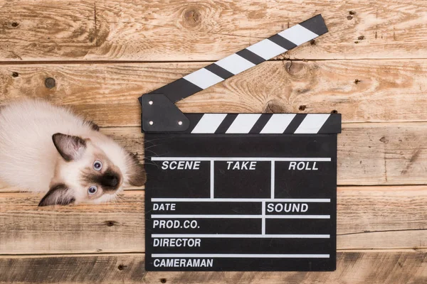 Film Klaket ve kedi