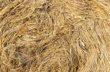 dairesel sarı saman doku