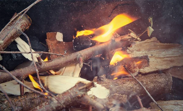 burning wood in the fireplace