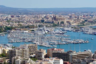 bir Palma de mallorca bağlantı noktası