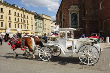 Polonya 'nın Krakow kentindeki Ana Pazar Meydanı' nda at arabası ve atlar.